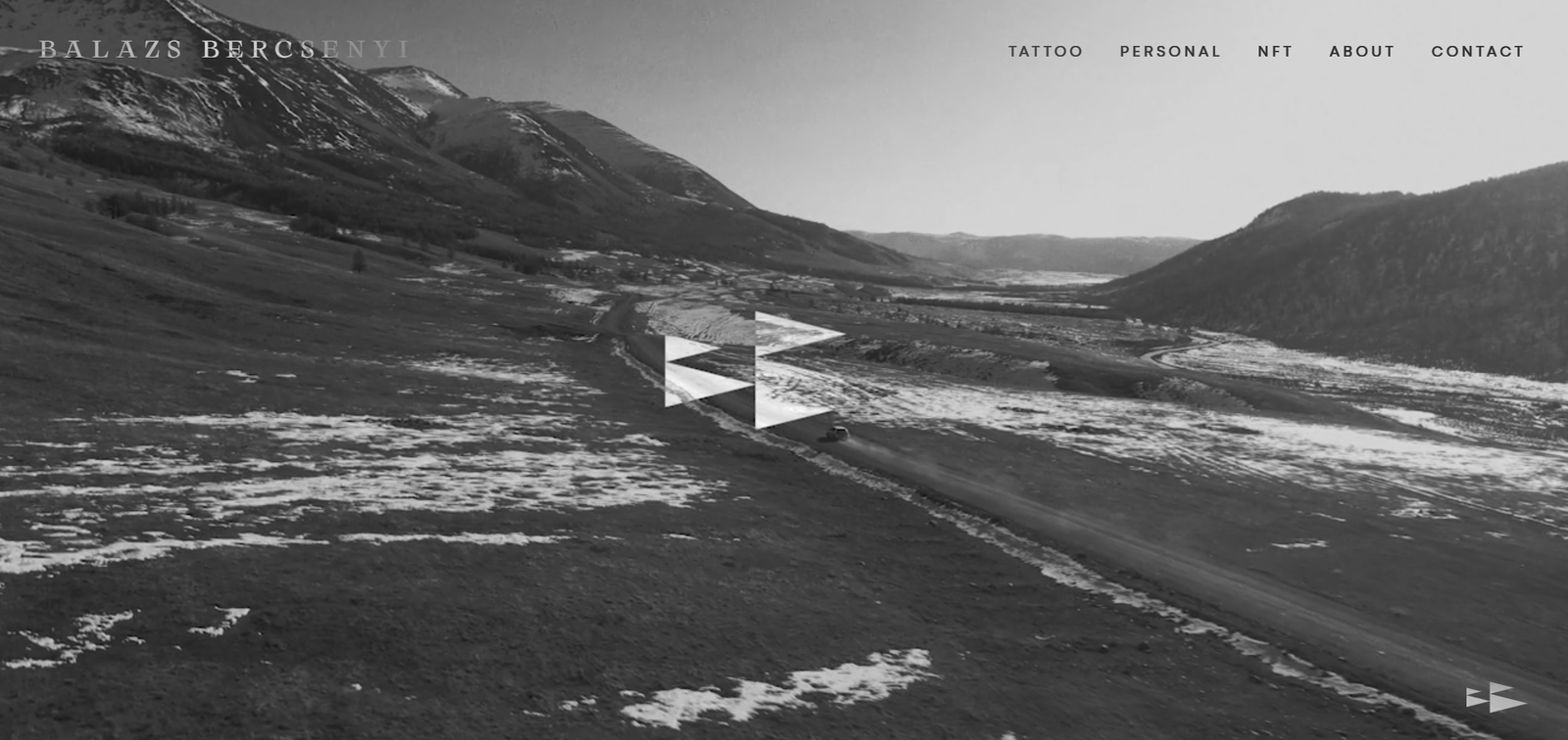 Balazs Bercenyi Detail 3